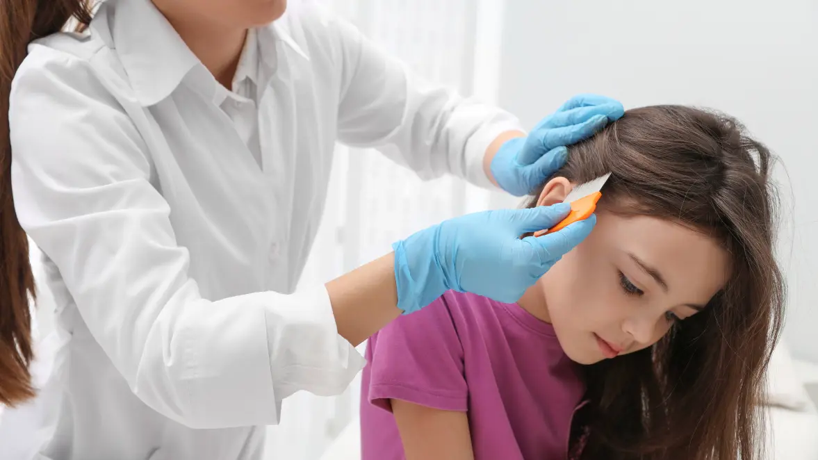 Head Lice