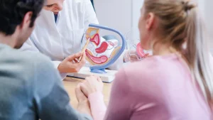 lifestyle changes to increase fertility, including diet, exercise, stress management, and quitting bad habits.
